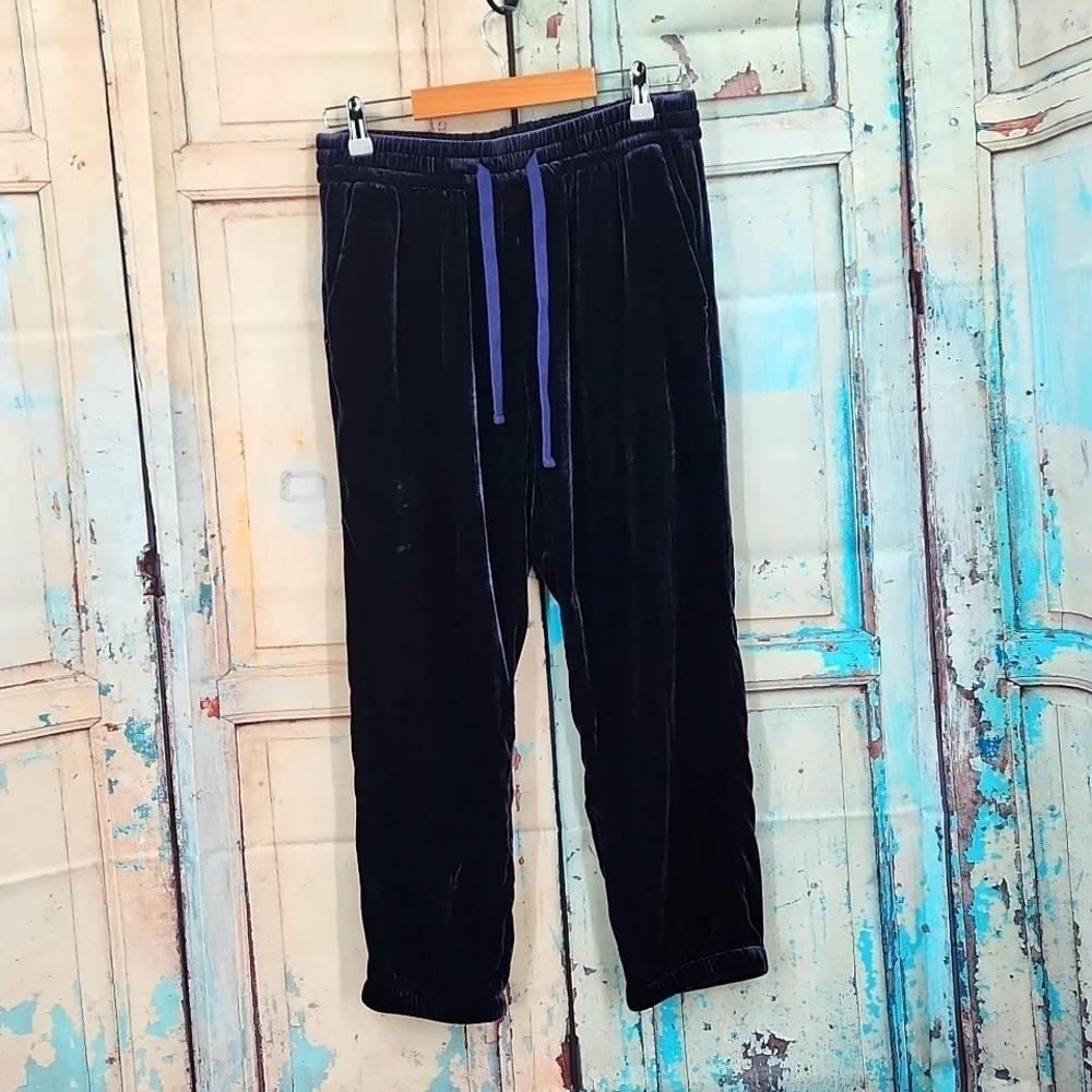 J. Crew Velvet‎ Lux Jogger Pant Navy Twilight